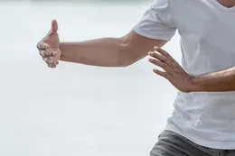 Tai Chi en mouvement